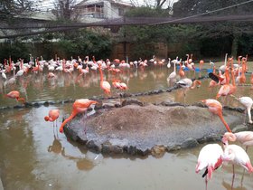 2017.01.08 - Oji Zoo